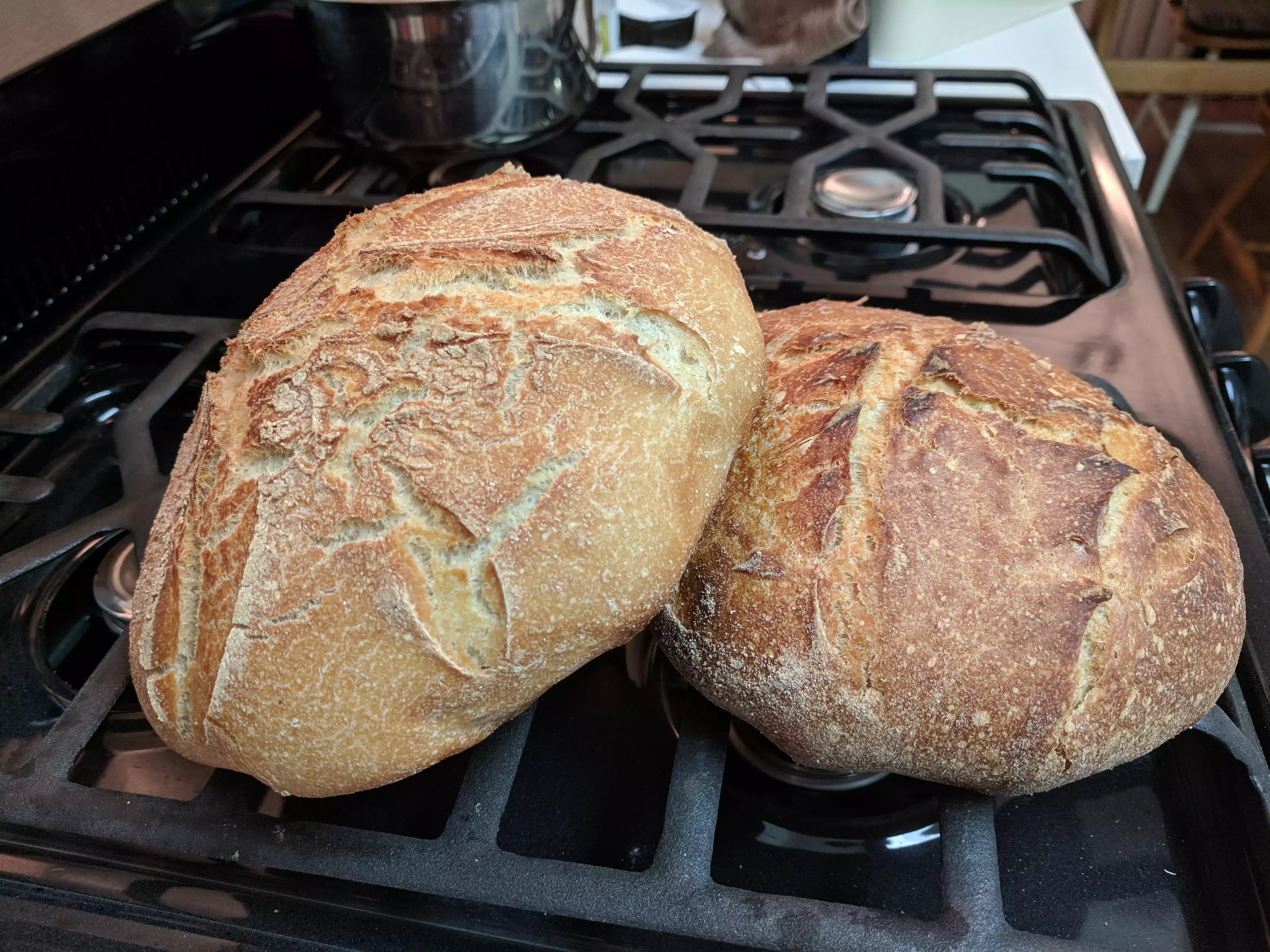 Two loaves of sourdough bread
